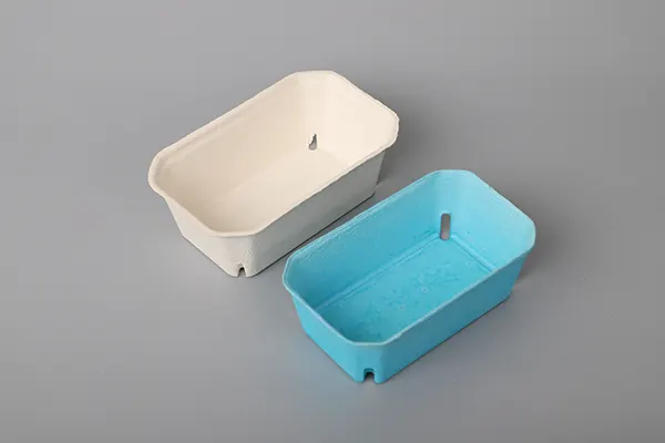 往复式蛋托机插图10 Fresh-food-tray-01.webp