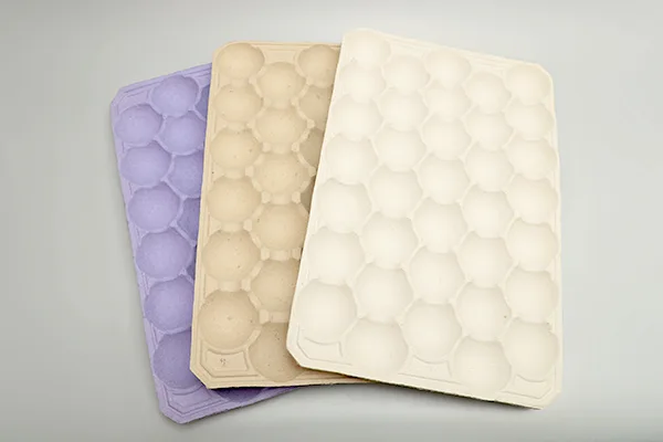 往复式蛋托机插图9 Fruit-Tray-02.webp