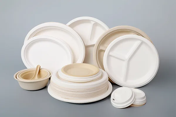 HGHY-Disposable-Tableware-01.webp