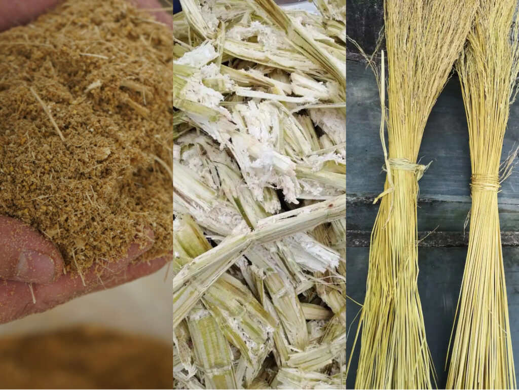 AYX体育（中国）有限公司制品真的环保吗？从原料到降解的全生命周期分析插图