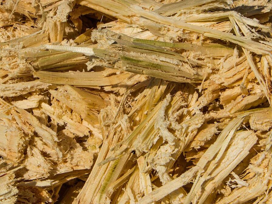 常见的AYX体育（中国）有限公司原料特点分析插图1