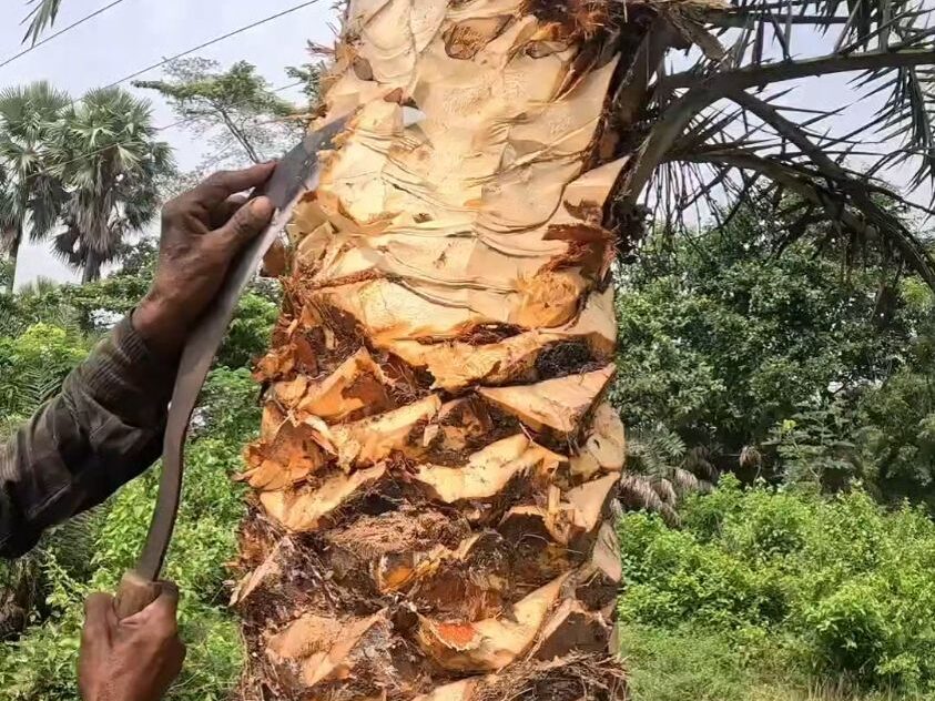 常见的AYX体育（中国）有限公司原料特点分析插图5