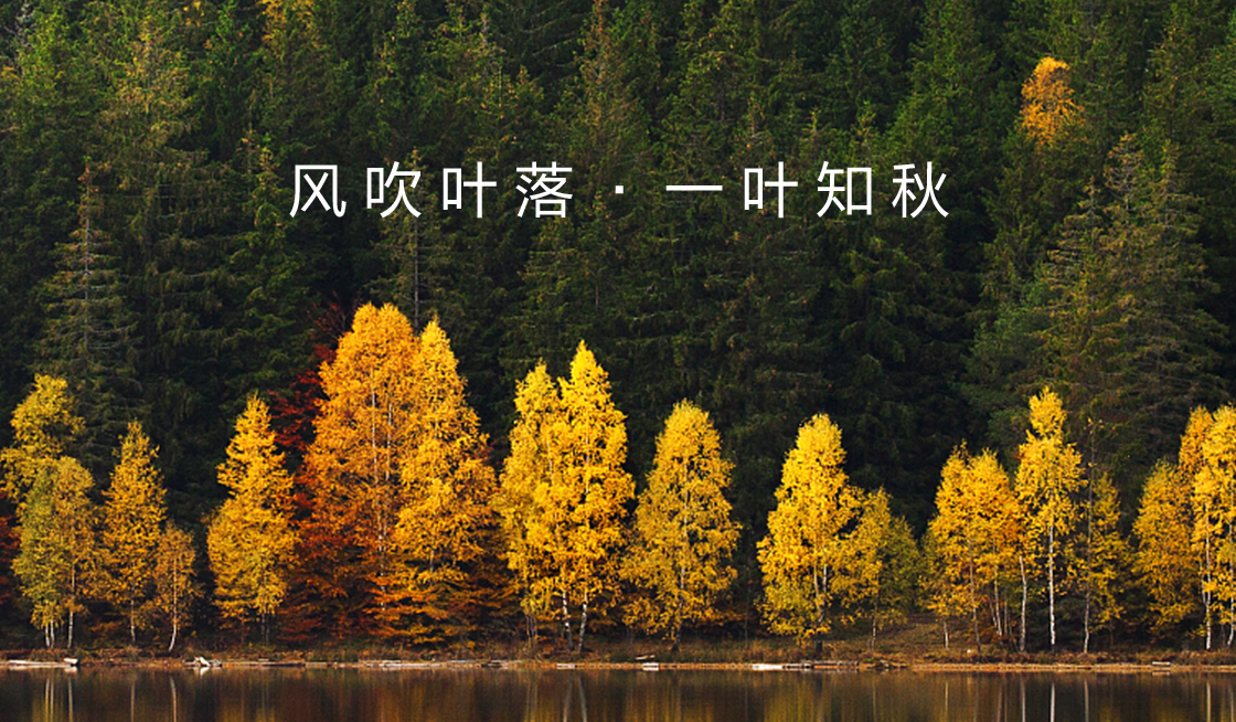 新闻资讯插图5 新闻资讯插图5