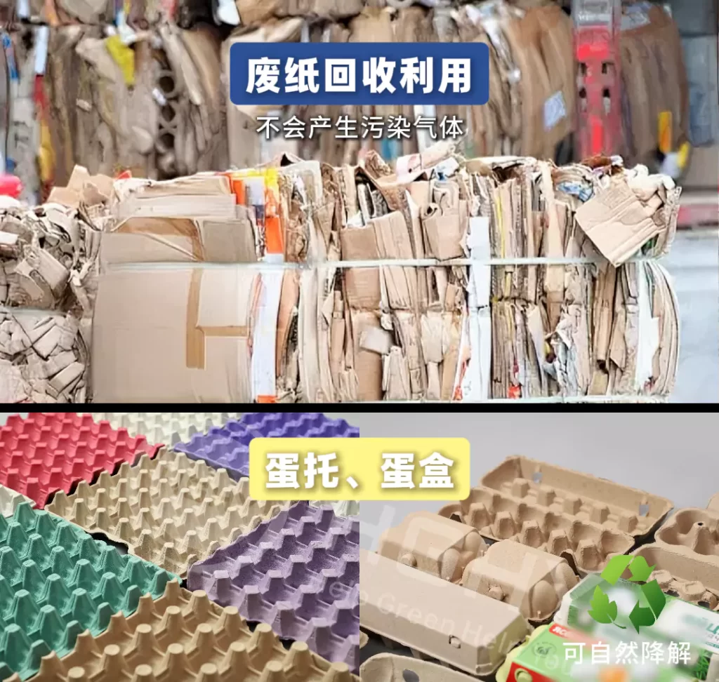 2025 年AYX体育（中国）有限公司迎爆发期！政策 + 市场双轮驱动，绿色包装成产业新引擎插图4