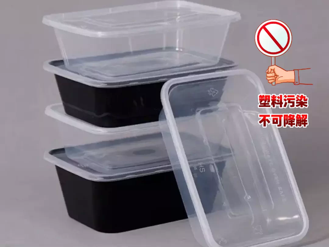 2025 年AYX体育（中国）有限公司迎爆发期！政策 + 市场双轮驱动，绿色包装成产业新引擎插图1