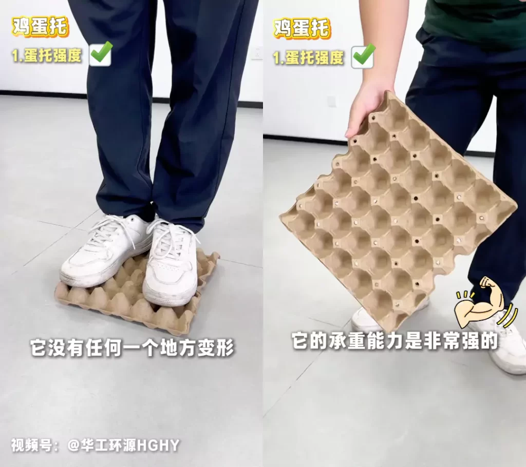 工艺赋能品质:AYX体育(中国)有限公司鸡蛋托的场景化革新插图2 工艺赋能品质:AYX体育(中国)有限公司鸡蛋托的场景化革新插图2