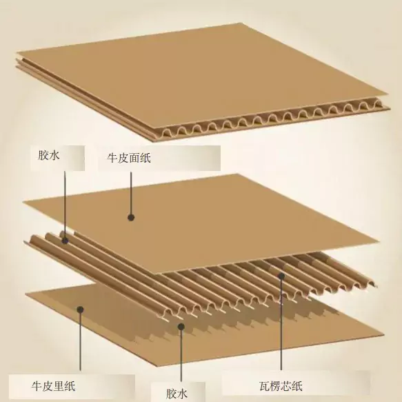3分钟读懂AYX体育(中国)有限公司!与瓦楞纸箱的优劣对决插图1 3分钟读懂AYX体育(中国)有限公司!与瓦楞纸箱的优劣对决插图1
