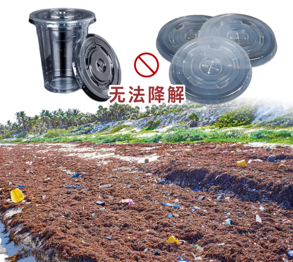 杯盖选对不踩坑!AYX体育(中国)有限公司VS塑料,环保与实用双赢才是王道插图 杯盖选对不踩坑!AYX体育(中国)有限公司VS塑料,环保与实用双赢才是王道插图